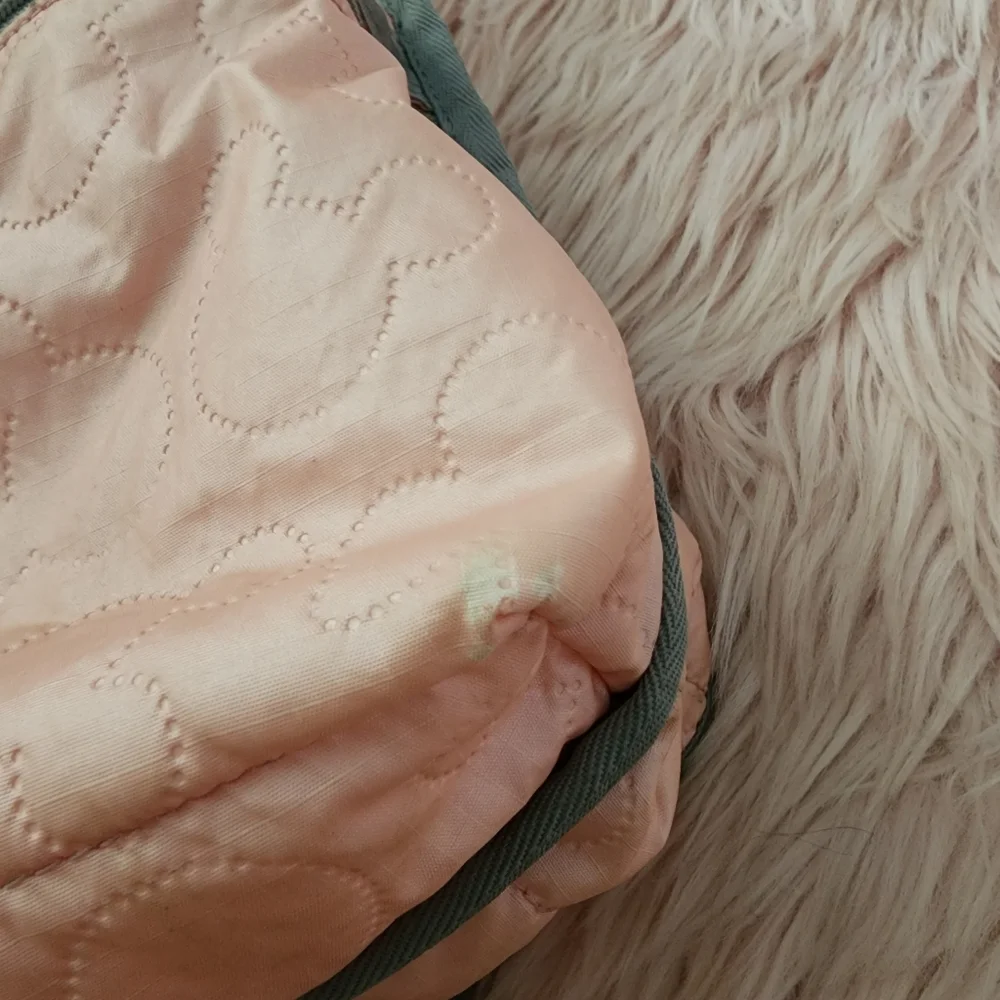 Disney Lesportsac Blooming Love mickey minnie backpack pink